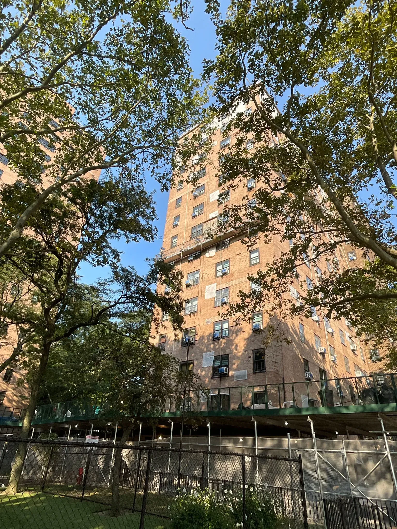225  Division